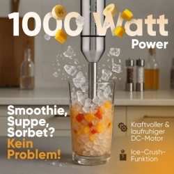 Mixeur plongeant 100W Acier inoxydable Proficook PC-SM1317-Inox