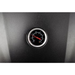 Barbecue grill de table à gaz Proficook PC-GG1261